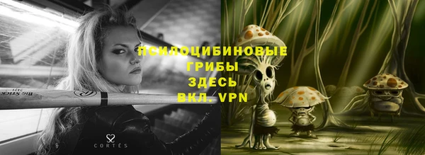 spice Абаза