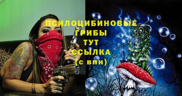 spice Абаза
