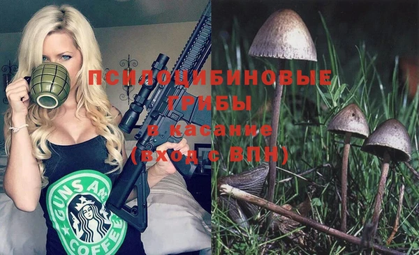 spice Абаза