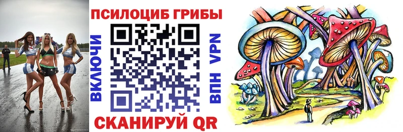 дарнет шоп  Инта  Псилоцибиновые грибы ЛСД 